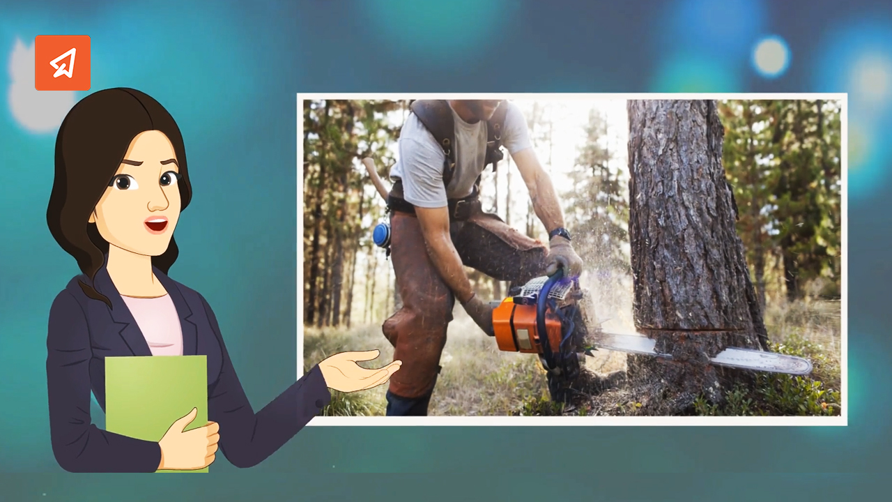Can a “simple jab of the knife” kill a tree? why not?