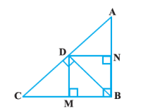 Triangles Q11 Figure